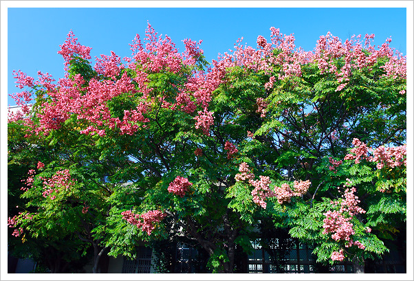 �ն�Ӫ�-�x�W���